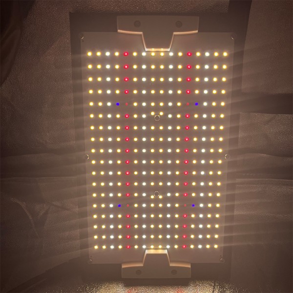 Quantum board GREENDIKE LITE 120w full spectrum