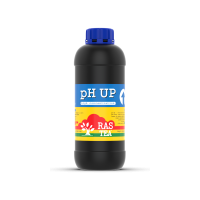PH UP 1L (RASTEA)