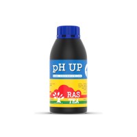 PH UP 500ML (RASTEA)