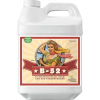 Стимулятор Advanced Nutrients B-52 5л