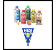HESI