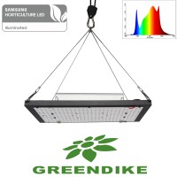 Quantum board GREENDIKE LITE 120w full spectrum