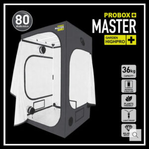 INDOOR MASTER